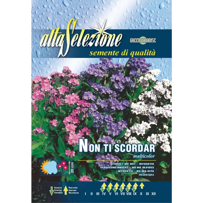 Seminte nu ma uita Multicolor