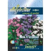 Seminte nu ma uita Multicolor