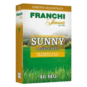 Seminte gazon Franchi Sementi Sunny