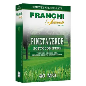 Seminte gazon Franchi Sementi Pineta verde