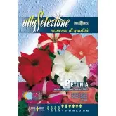 Seminte petunia pitica compacta multicolor
