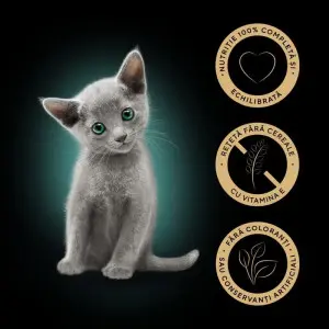 Sheba Kitten Junior hrana umeda pentru pisici junioare cu pui in sos 85gr
