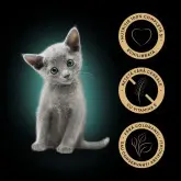Sheba Kitten Junior hrana umeda pentru pisici junioare cu pui in sos 85gr