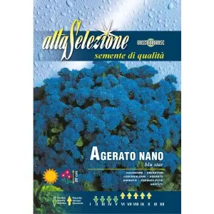 Seminte pufuleti pitici stea albastra