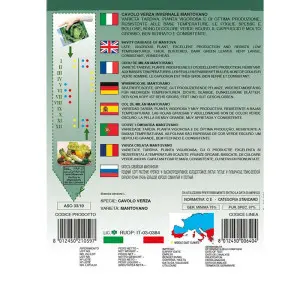 Seminte varza creata Mantovano Alta Selezione