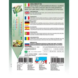 Seminte varza chinezeasca Pe-tsai Alta Selezione