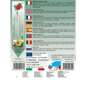 Seminte tomate Marglobe Alta Selezione