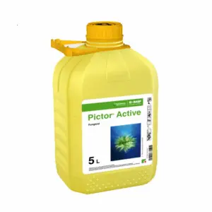 Fungicid Pictor Active