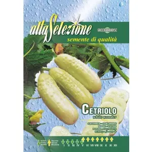 Seminte castraveti White Wonder Alta Selezione