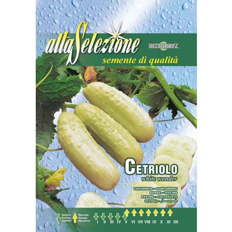 Seminte castraveti White Wonder Alta Selezione