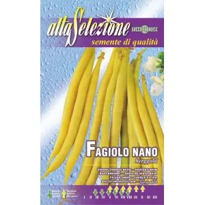 Seminte fasole oloaga fideluta Berggold Alta Selezione