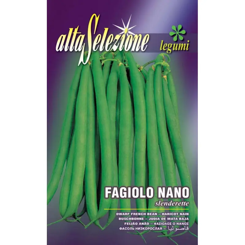 Seminte fasole oloaga fideluta Slenderette Alta Selezione