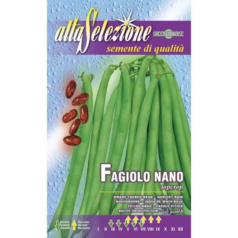 Seminte fasole oloaga fideluta Topcrop Alta Selezione