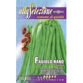 Seminte fasole oloaga fideluta Topcrop Alta Selezione