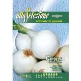 Seminte ceapa alba Tonda Musona Alta Selezione