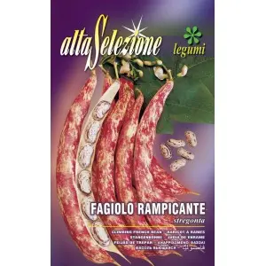 Seminte fasole urcatoare lata Stregonta Alta Selezione