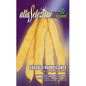 Seminte fasole urcatoare lata Venezia a Grano Bianco Alta Selezione