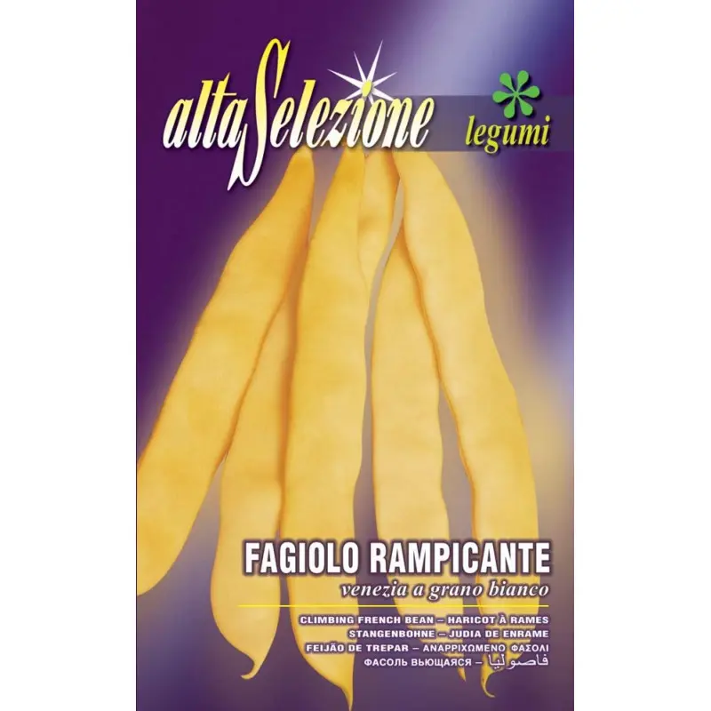 Seminte fasole urcatoare lata Venezia a Grano Bianco Alta Selezione