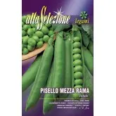 Seminte mazare Rondo Alta Selezione