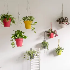 Ghiveci suspendat My Mood Air cu agatatoare