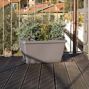 Farfurie dreptunghiulara Omnia II