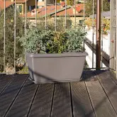 Farfurie dreptunghiulara Omnia II