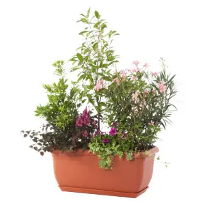 Jardiniera Unica