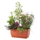 Jardiniera Unica