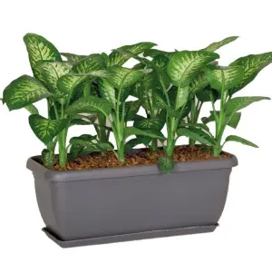 Jardiniera Unica