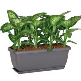 Jardiniera Unica