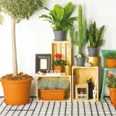 Jardiniera Unica