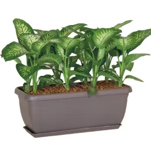 Jardiniera Unica