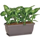 Jardiniera Unica