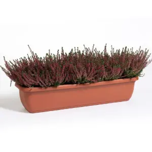 Jardiniera Unica cu auto-udare