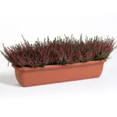 Jardiniera Unica cu auto-udare
