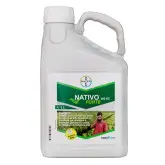 Fungicid Nativo Forte 280 EC
