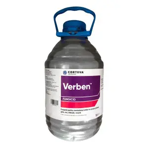 Fungicid Verben