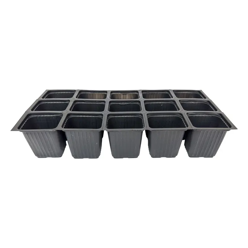 Alveole rasaduri 15 celule patrate separabile Oz-Ka Vakum 7,5 cm