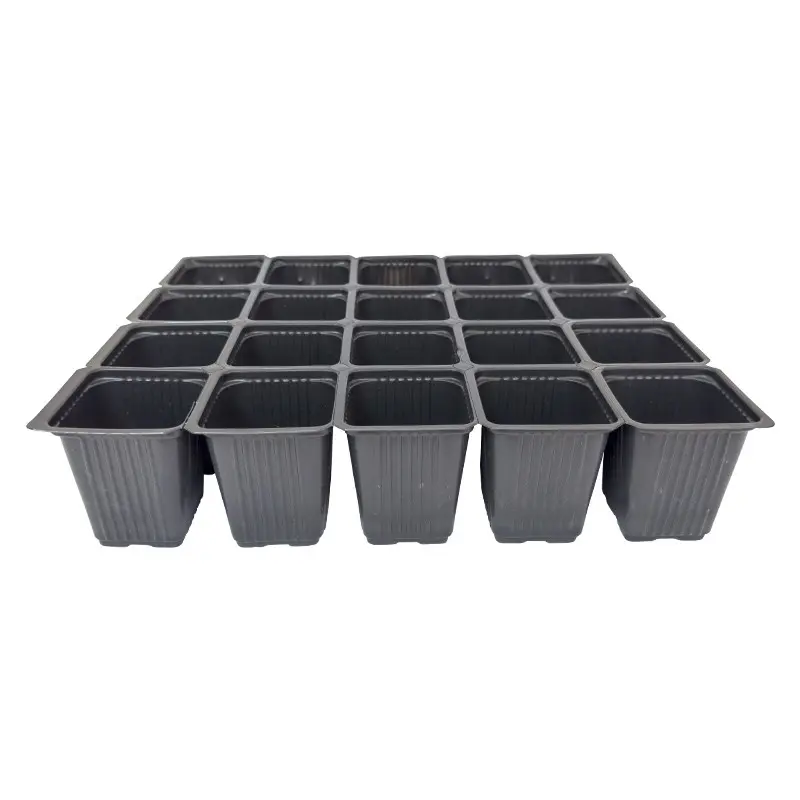 Alveole rasaduri 20 celule patrate separabile Oz-Ka Vakum 5,4 cm