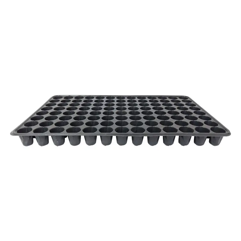 Alveole rasaduri 104 celule rotunde adanci Oz-Ka Vakum 3,5 cm