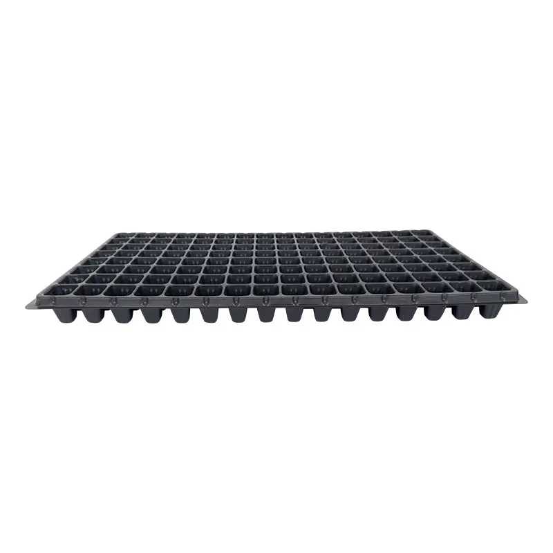 Alveole rasaduri 128 celule patrate Oz-Ka Vakum 3 cm