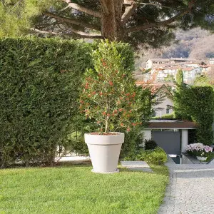 Ghiveci flori inalt cu farfurie Decor
