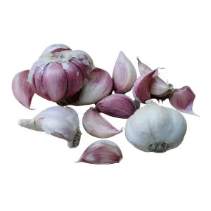 Usturoi rosu italian Sulmona, calibru 55+, sac 0,5 kg