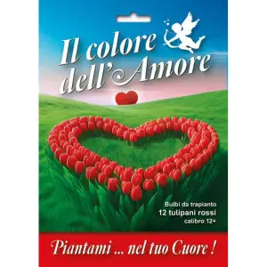 Bulbi lalele Il colore del amore rosii, 12 bulbi