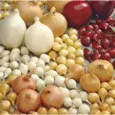 Arpagic mix auriu, rosu si alb, calibru 14/21, sac 0,5 kg