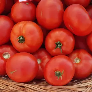 Seminte tomate Eterei F1