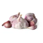 Usturoi violet frantuzesc Germidour, calibru 55/60, 1 kg