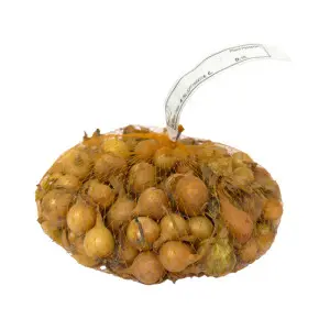 Arpagic auriu Centurion F1, calibru 14/21, 1 kg