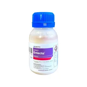 Fungicid Zorvec Entecta