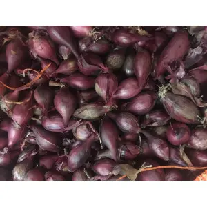 Arpagic rosu Red Baron, calibru 14/21, 1 kg
